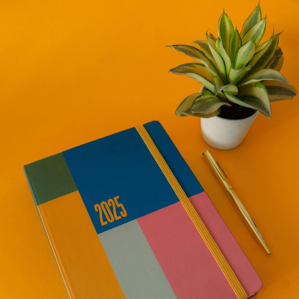 A colorful 2025 day planner book, a gold pen, and a small plant on an orange background